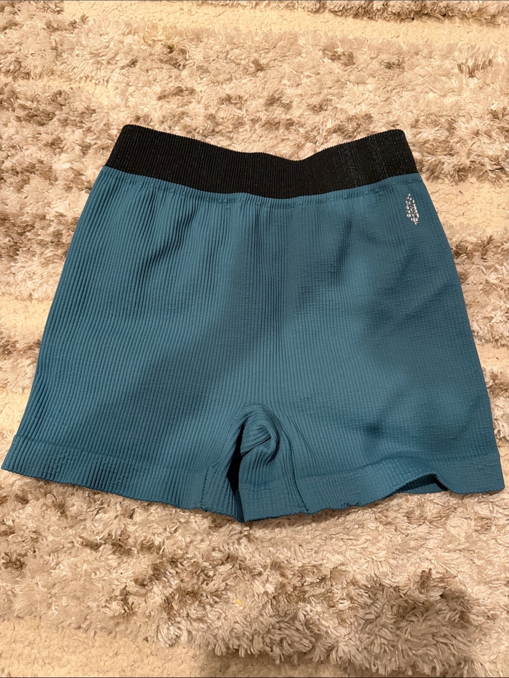 Free People Teal Ribbed Bike Shorts with Black Waistband